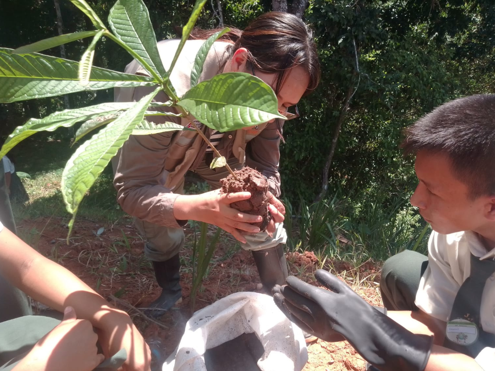 Por el Día de la Tierra, 17 escolares de Nieva, en Amazonas, adoptaron y sembraron árboles nativos con apoyo del IIAP
