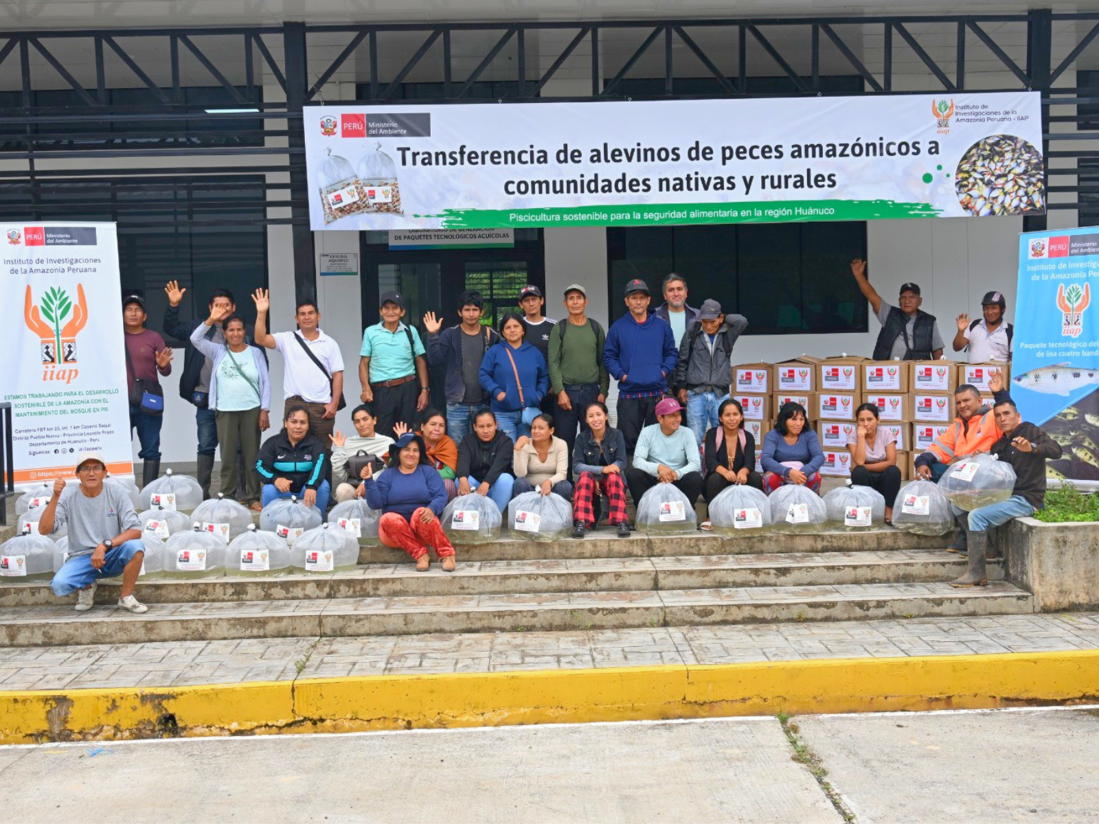 IIAP transfiere más de un millón y medio de alevinos a comunidades amazónicas