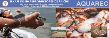 AQUAREC - DIRECCIÓN DE INVESTIGACIÓN EN ECOSISTEMAS ACUÁTICOS AMAZÓNICOS