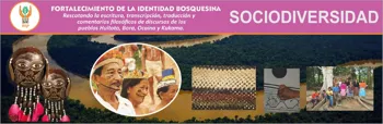 SOCIODIVERSIDAD - DIRECCIÓN DE INVESTIGACIÓN EN SOCIEDADES AMAZÓNICAS